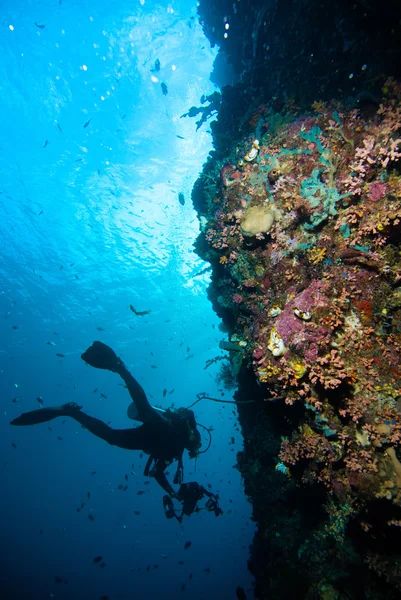 Diver blå vatten dykning bunaken Indonesien sjö reef hav — Stockfoto