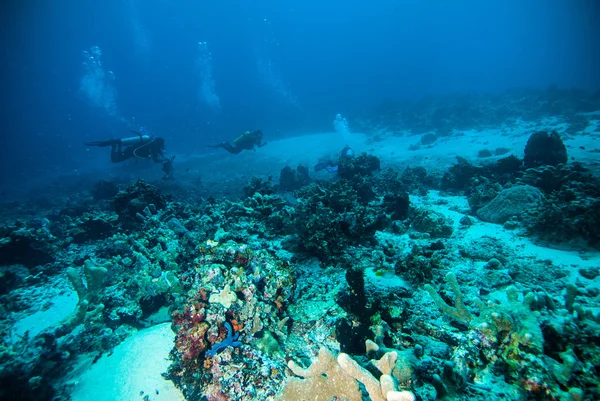 Diver blue water scuba diving bunaken indonesia sea reef ocean — Stock Photo, Image