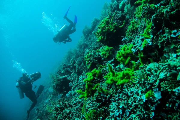 Diver blue water scuba diving bunaken indonesia sea reef ocean — Stock Photo, Image