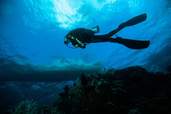 Scuba diving duiker vrouw zee onderwater koraal Indonesië bali meisje — Stockfoto