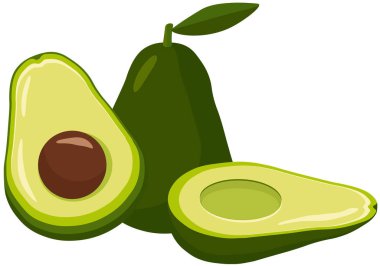 Avokado grubu beyaz vektörde izole edildi