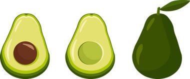 Beyaz vektör illüstrasyonunda izole edilmiş avokado kümesi