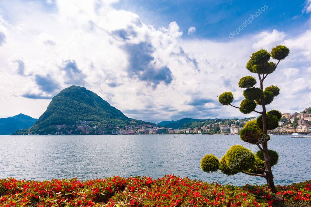 Europe.Switzerland.View of Lugano, lake, mountains.Blue sky with clouds.Red flowers and a whimsical tree in the foreground.