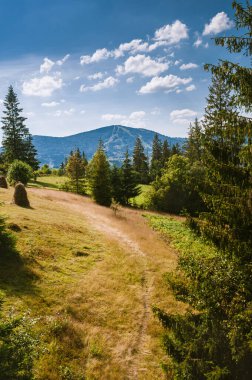 Karpatlar 'da yaz güneşli bir gün. Dağın tepesinde yürü. Komşu tepeler uzaktan görülebiliyor..