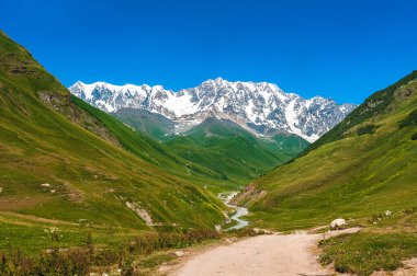 Yaz günü. Georgia, Kafkasya tepesi. Inguri nehri. Parlak mavi gökyüzü. Arka planda ise Shkhara Dağı var..