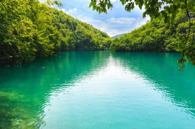 Hırvatistan. Plitvice Gölleri Ulusal Parkı. Gölün turkuaz suyu parlak yeşil bir ormanla çevrili. Beyaz bulutlu mavi gökyüzü..