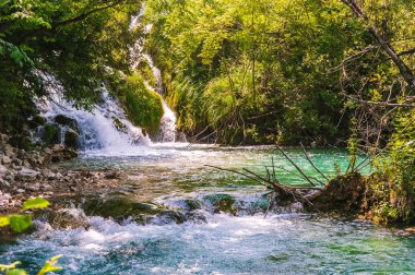 Hırvatistan. Plotvice Gölleri Ulusal Parkı Güneşli bir gün. Anlaşıldı..