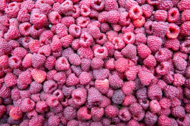 Various raspberries scattered across a flat surface.