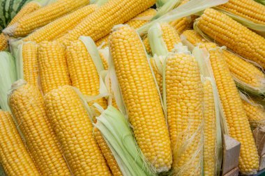 Markette düzgünce istiflenmiş mısır..