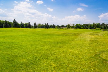 Golf Sahası ve yeşil çimen