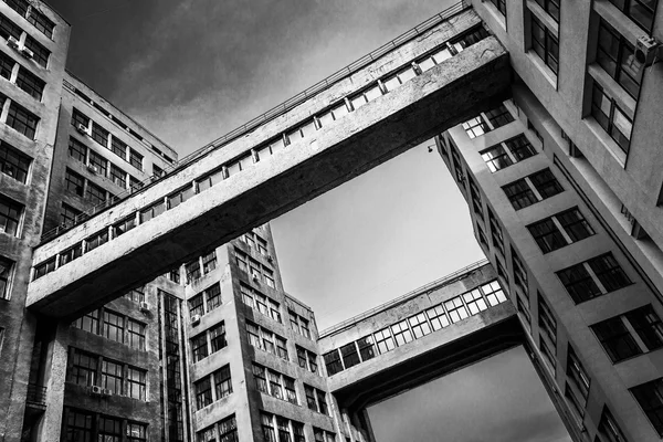 Metropolis ve kentsel ormanda