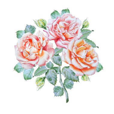 Vintage kartı Güllü. Suluboya.