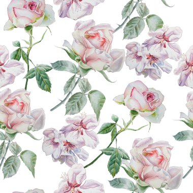  Çiçekler ile Seamless modeli. Rose. Çiçeği. Suluboya. 