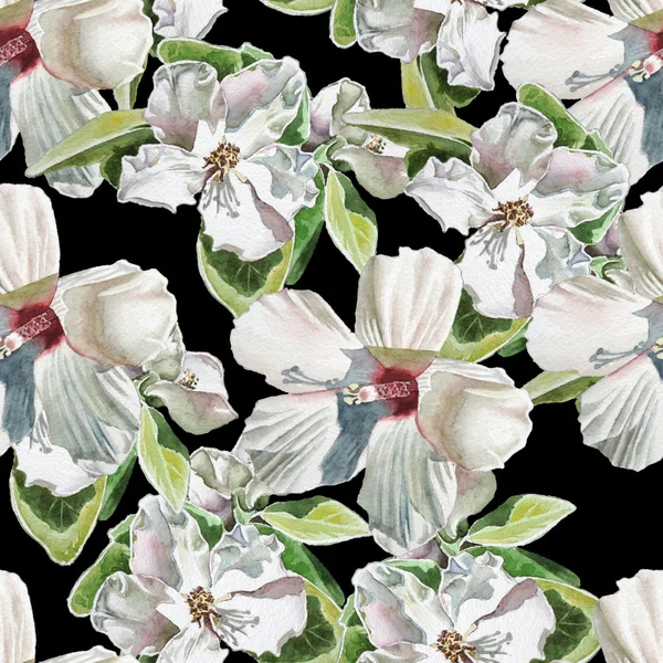 Seamless pattern with  white flowers. — Stock Photo, Image