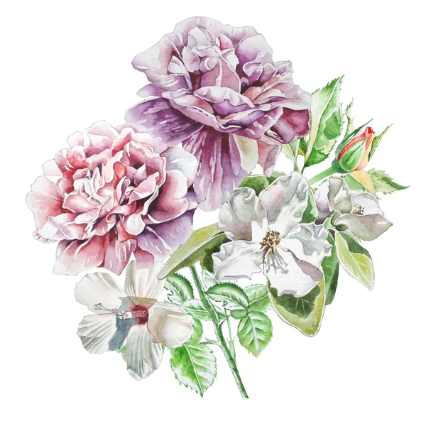 Cartão vintage com rosas. Aquarela . — Fotografia de Stock