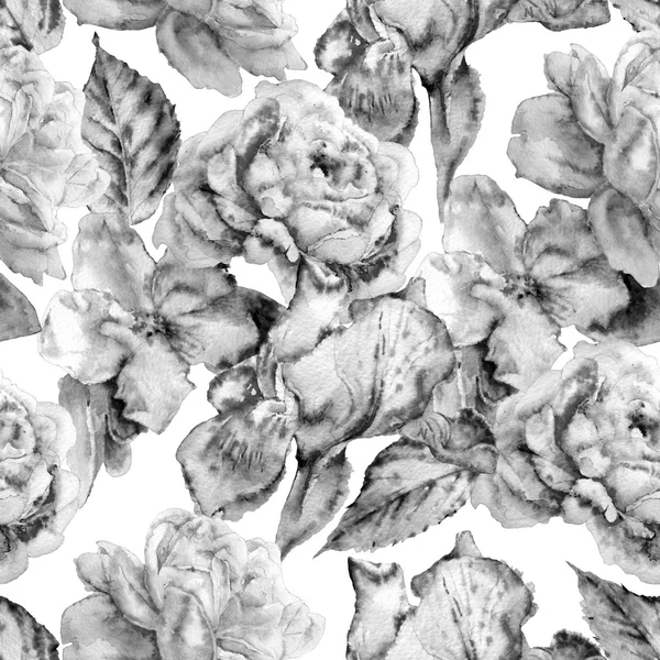 Monochrome seamless pattern  with flowers. Rose.  Blossom. Iris. Watercolor. — Stock Photo, Image