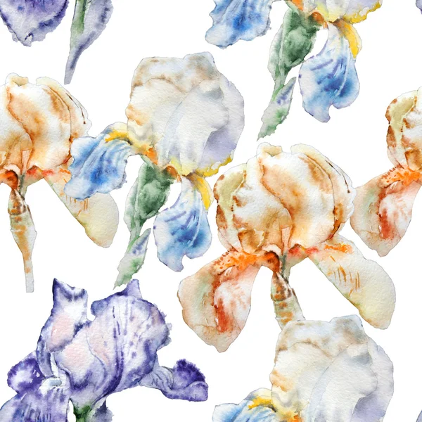 꽃으로 완벽 한 패턴입니다. 아이리스입니다. 수채화. — 스톡 사진