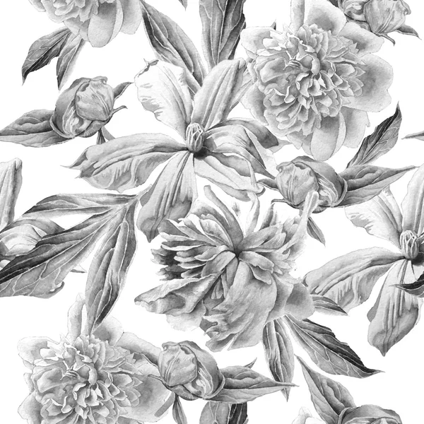 Monochrome seamless pattern with spring flowers. Peony. Clematis. Watercolor. — Stock Photo, Image