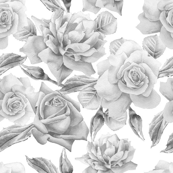 Monochrome seamless pattern with roses. Watercolor. — Stock Photo, Image