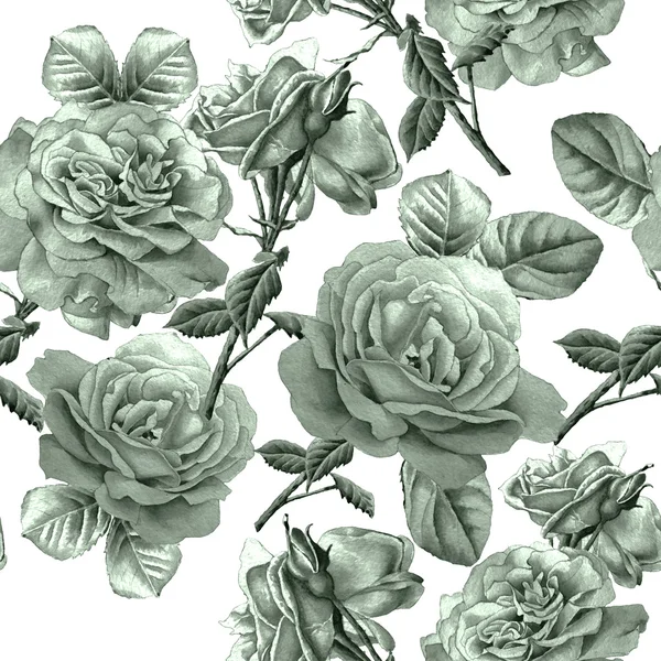 Seamless pattern with roses. Watercolor illustration. — Stock Photo, Image
