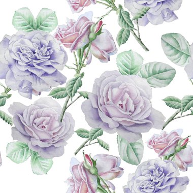 Gül ile Seamless modeli. Suluboya resim.