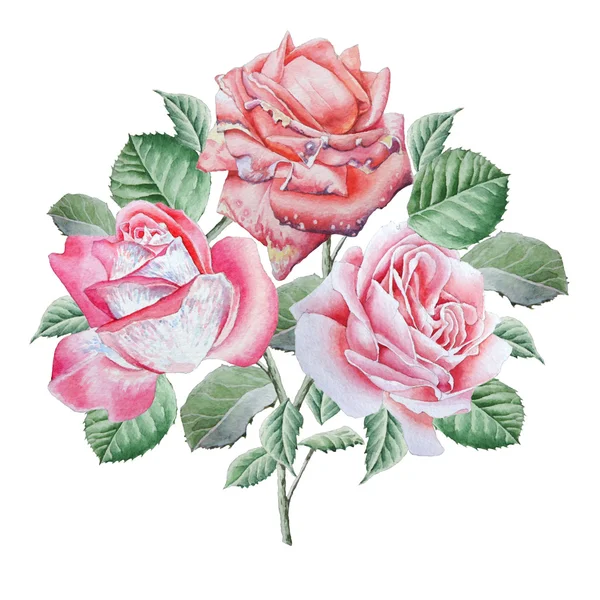 Blommig kort med blommor. Rose. Akvarell illustration. — Stockfoto