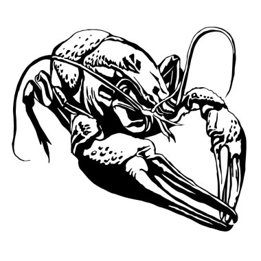 Illustration with a large cancer. Lobster. clipart