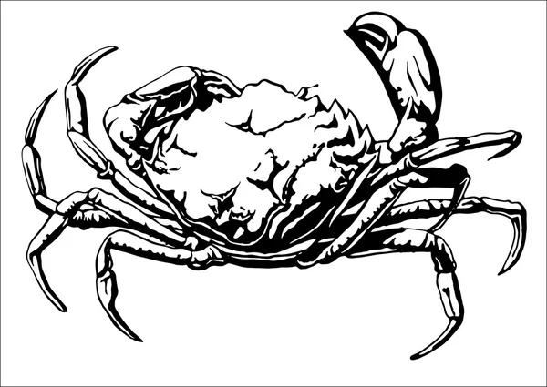 Illustration avec un grand crabe . — Image vectorielle