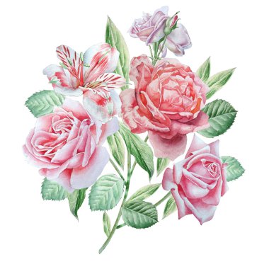 Bahar çiçekleri ile çiçek kartı. Alstroemeria. Rose. Suluboya.