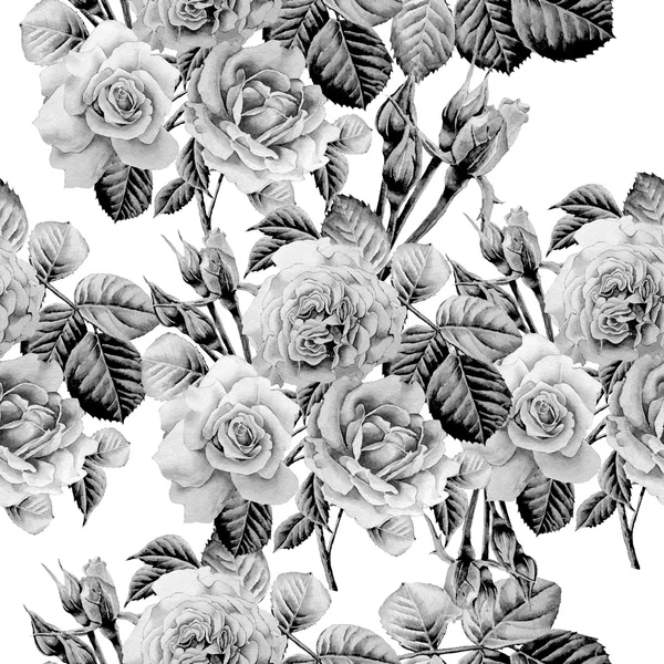Monokrom seamless mönster med rosor. Akvarell. — Stockfoto