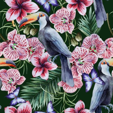 Kuş yaprakları ve çiçeklerle tropik, pürüzsüz desen. Tucan. Orkide. Suluboya çizimi. El çizimi.