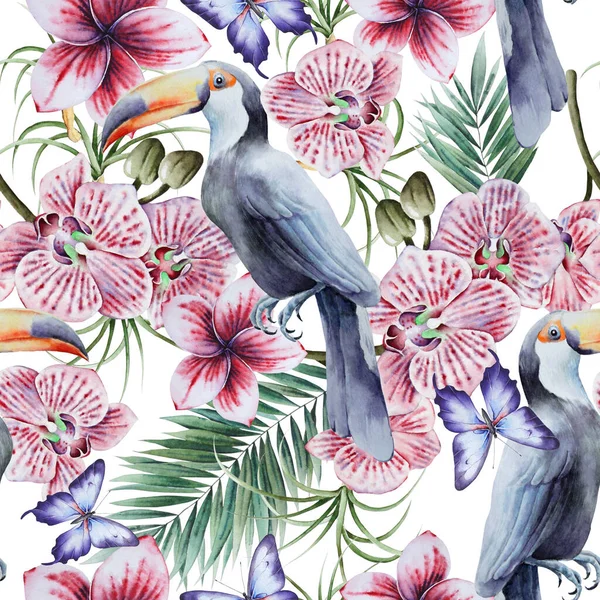 Тропічний Безшовний Візерунок Листям Птахів Квітами Тукан Орхідея Приклад Аквареллю — стокове фото