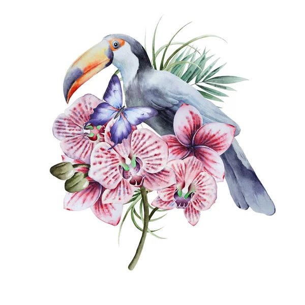 Ilustración Con Aves Tropicales Flores Tucan Orquídea Ilustración Acuarela Dibujado — Foto de Stock