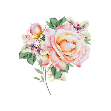 Çiçekli suluboya buket. Gül. Orkide. İllüzyon. El çizimi.