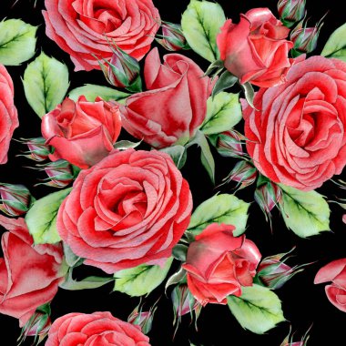 Çiçekli parlak, pürüzsüz bir desen. Gül. Suluboya çizimi. El çizimi.