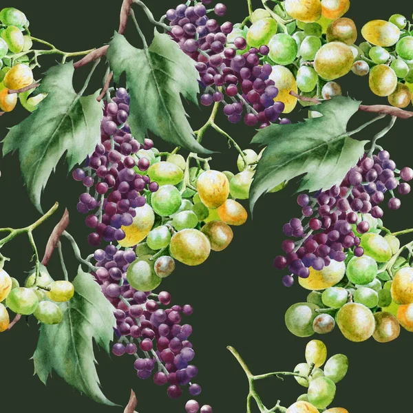 Seamless Pattern Grapes Watercolor Illustration Hand Drawn — Stok Foto