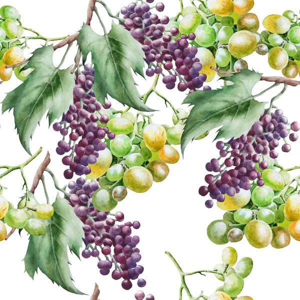 Płynny Wzór Winogronami Ilustracja Akwareli Ręcznie Rysowane — Zdjęcie stockowe