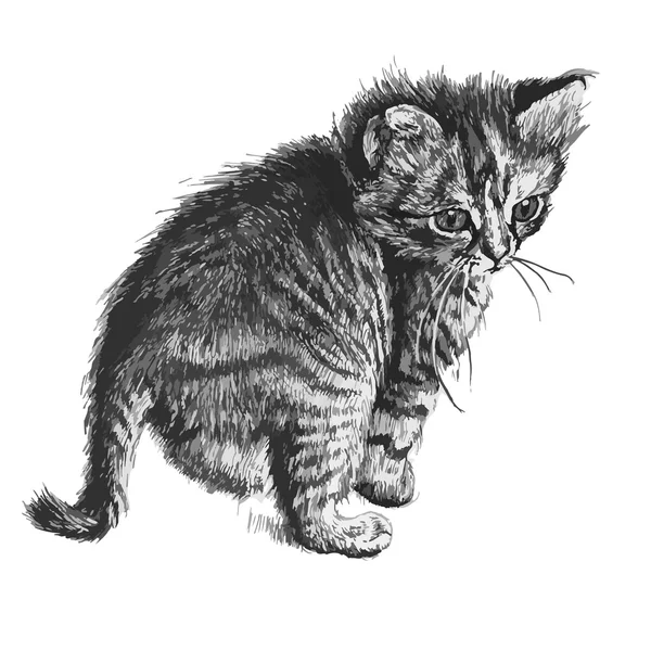 Ilustración de un lindo pequeño gato — Vector de stock