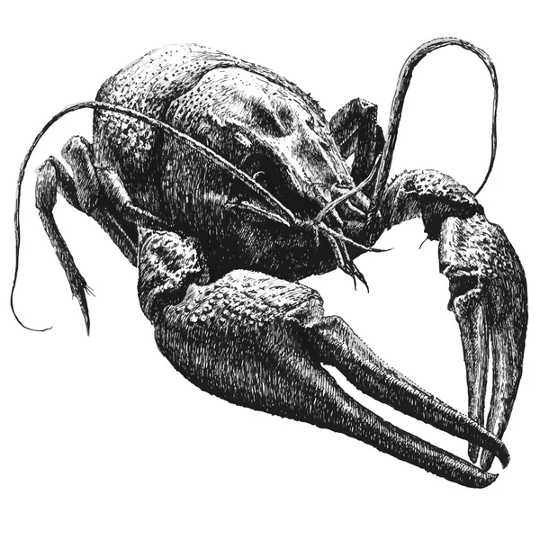 el ile çizilmiş büyük kanser ile çizim