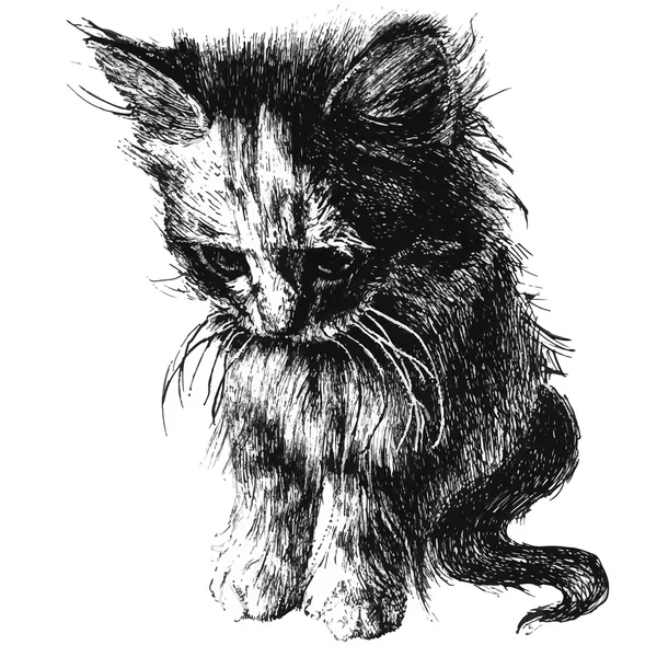 Illustration einer niedlichen kleinen Katze — Stockvektor