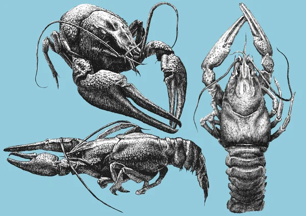 Illustration avec des cancers de différentes formes — Image vectorielle