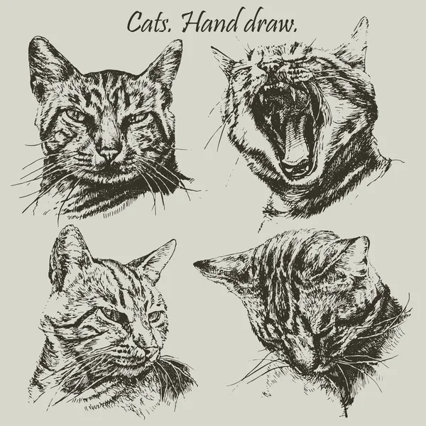 Farklı başkanları kedilerle ayarla