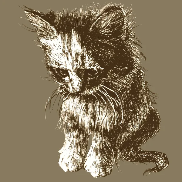 Illustration einer niedlichen kleinen Katze — Stockvektor
