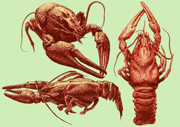 illustration with cancers of various shapes