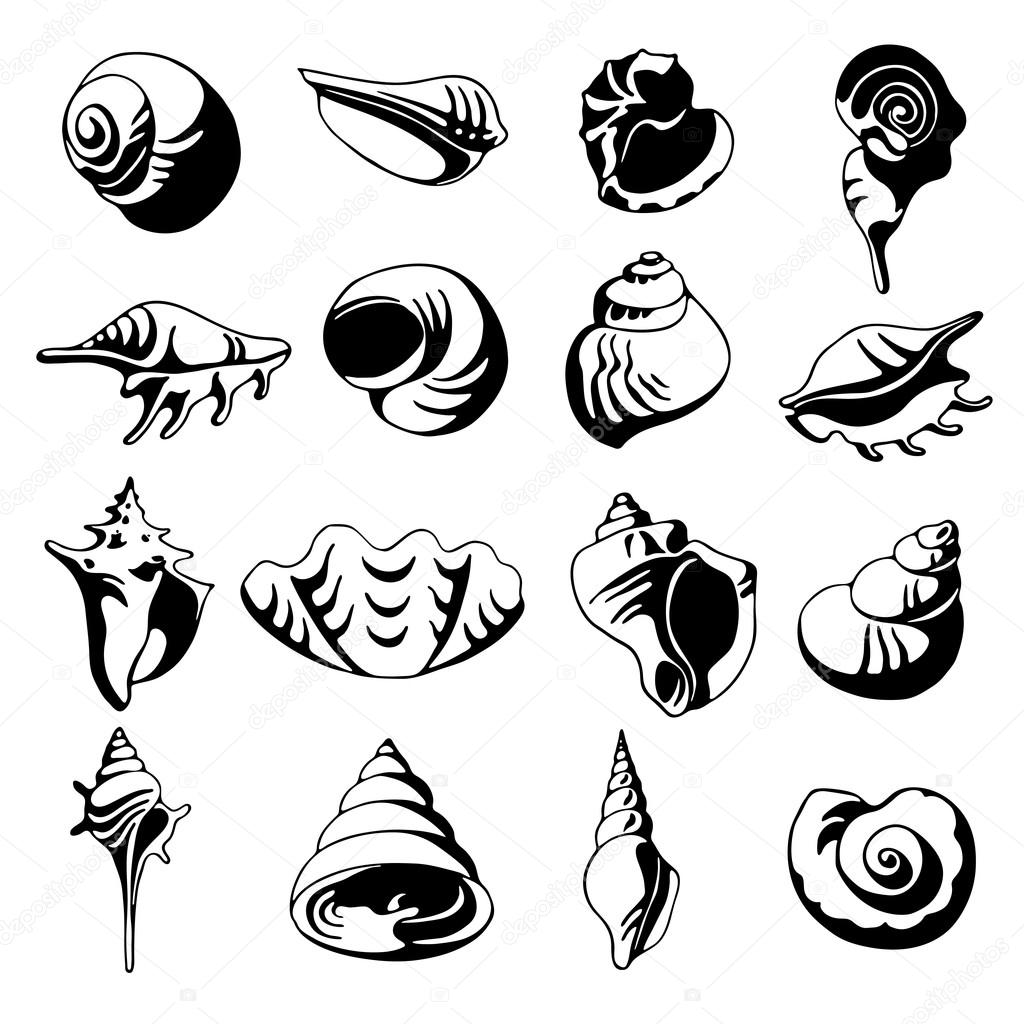 Iillustration with seashells. Set