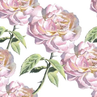 suluboya gül ile Seamless Modeli.