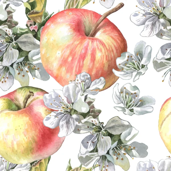 Äpfel und Blumen — Stockvektor
