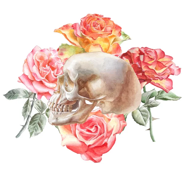 Ilustracja z czaszki i róże — Wektor stockowy