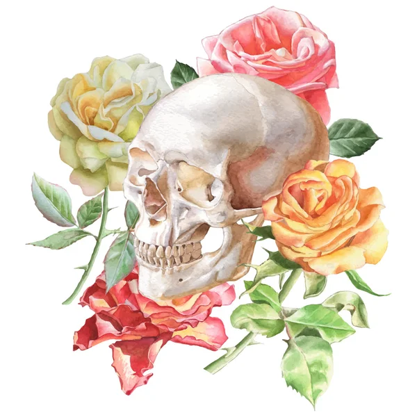 İllüstrasyon kafatası ve gül ile