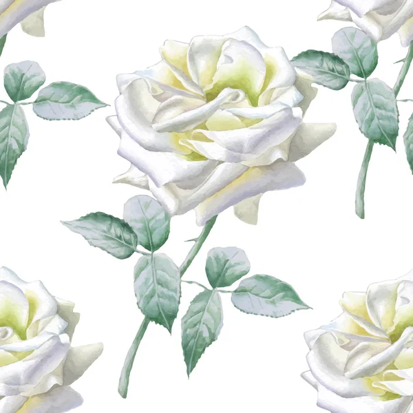 Varrat nélküli mintát akvarell rózsákkal. — Stock Vector